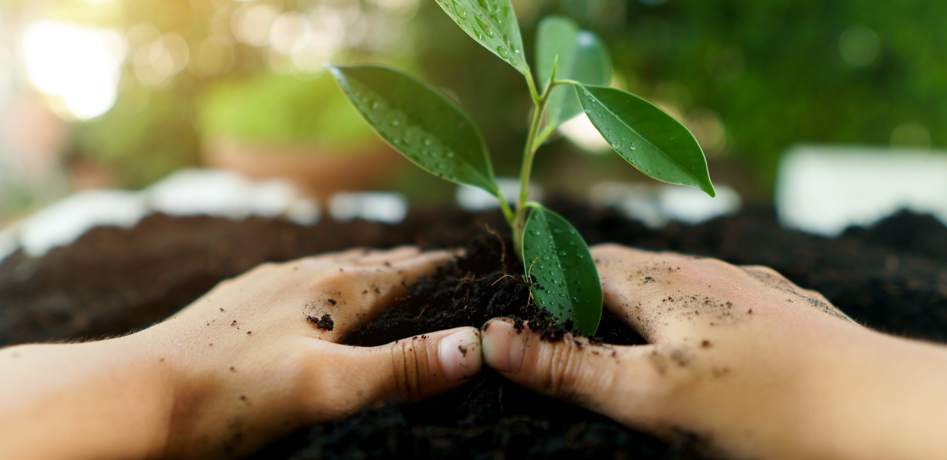 gardening