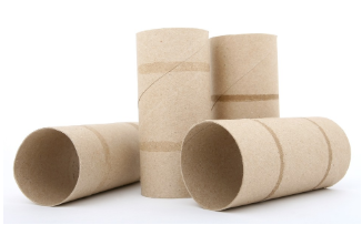 toilet paper rolls