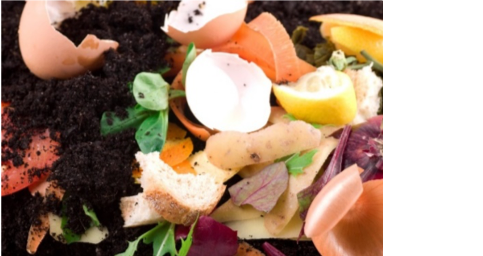 Pile of compost with egg shells, lemons, soil