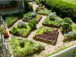 Green plant-based garden