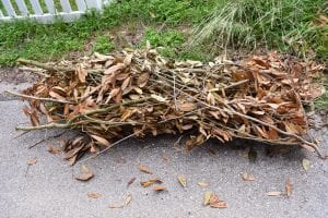 Pile of secured brush waste on curbside