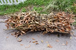 Bundle of sticks and leaves tied together