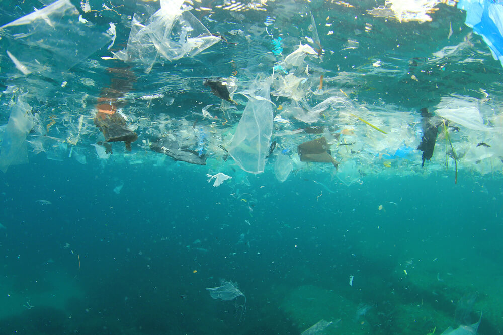 Ocean Pollution: Causes, Effects and Prevention - TDS Blog