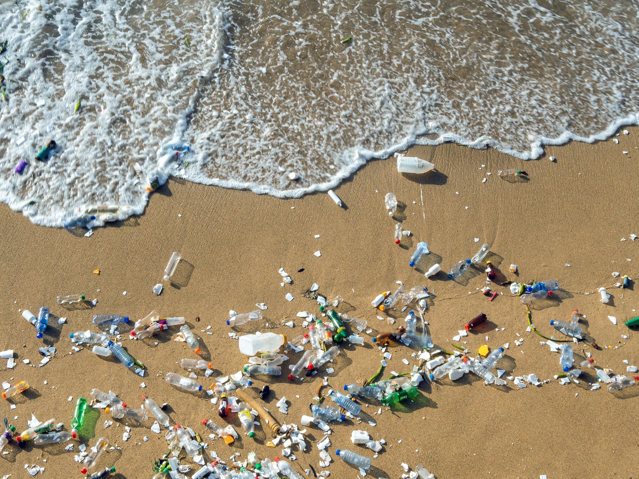 Ocean waste on beach shore