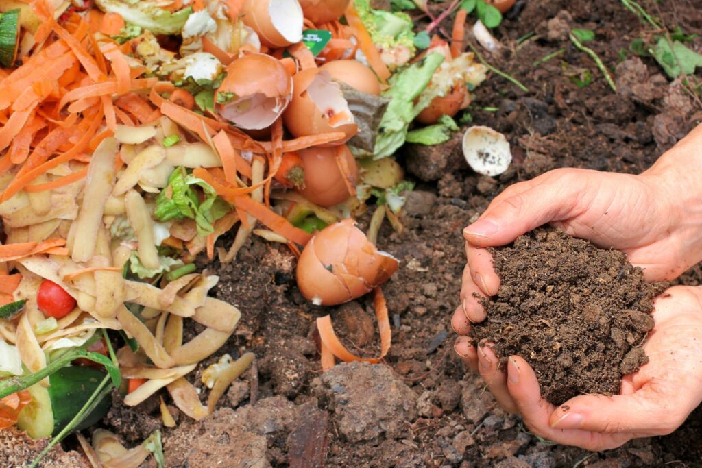 Hands holding brown soil next to food scraps