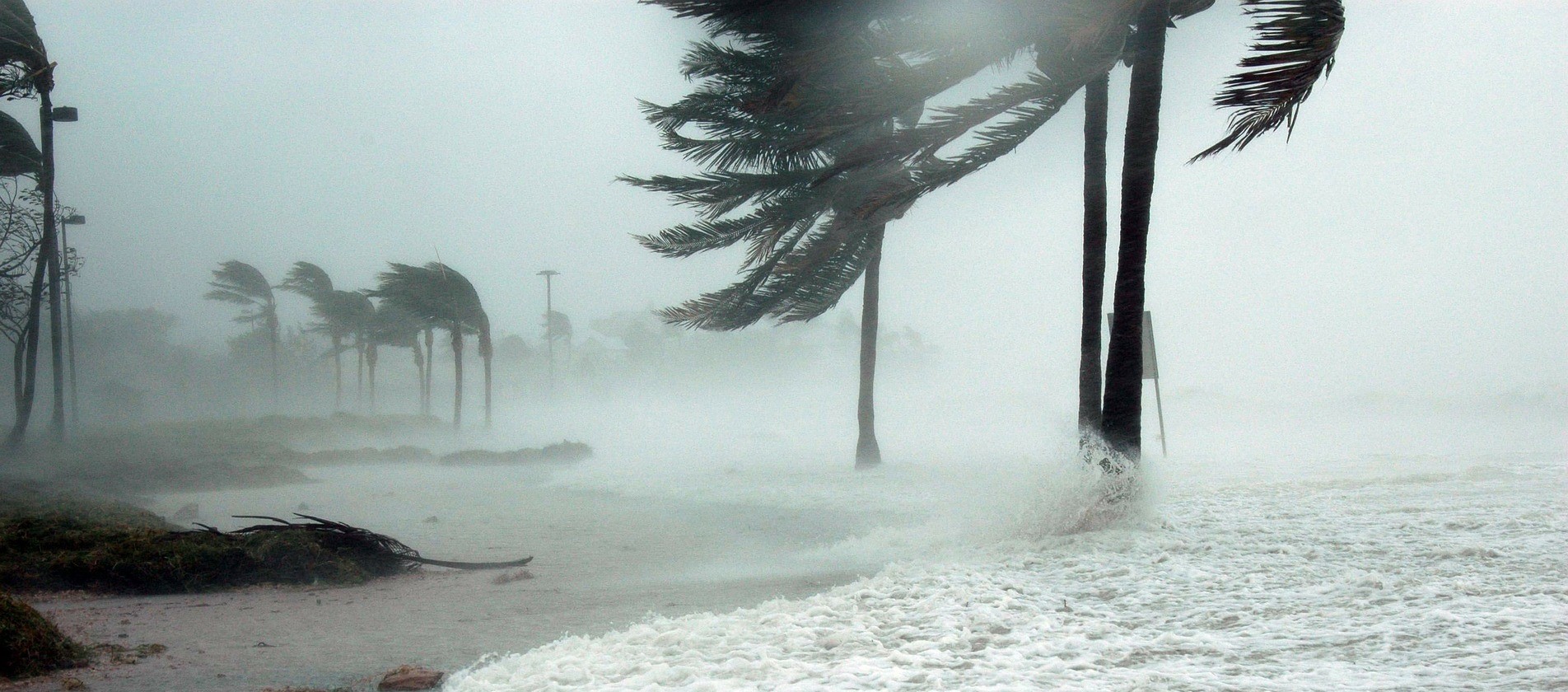 hurricane