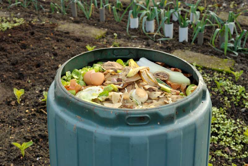 Food scraps in a composting bucket